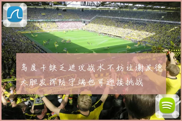 乌度卡缺乏进攻战术不妨让谢泼德大胆发挥防守端也可迎接挑战