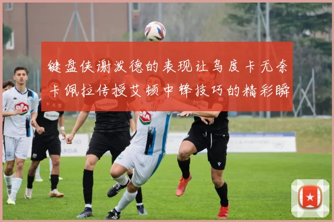 键盘侠谢泼德的表现让乌度卡无奈卡佩拉传授艾顿中锋技巧的精彩瞬间