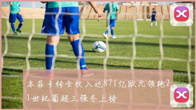 本菲卡转会收入达871亿欧元领跑21世纪葡超三强齐上榜