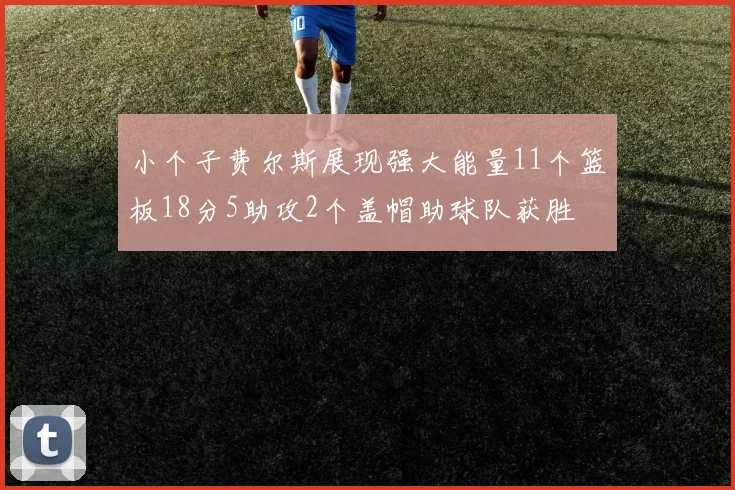 小个子费尔斯展现强大能量11个篮板18分5助攻2个盖帽助球队获胜